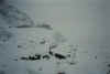 97_15.jpg (143633 Byte)
