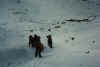97_38.jpg (148653 Byte)