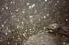 97_6.jpg (224418 Byte)