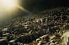 98_22.jpg (256463 Byte)