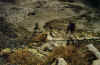 98_38.jpg (322573 Byte)
