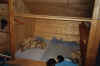 98_47.jpg (156613 Byte)