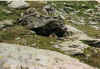 99_luen17.jpg (157234 Byte)