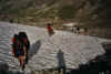 01_loh_11.jpg (228336 Byte)