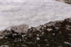 01_loh_32.jpg (163324 Byte)