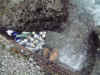 DSCF0091.JPG (144100 Byte)