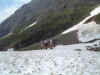 DSCF0101.JPG (145182 Byte)