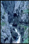 img0007.jpg (66168 bytes)