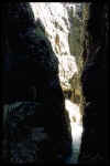 img0011.jpg (36956 bytes)